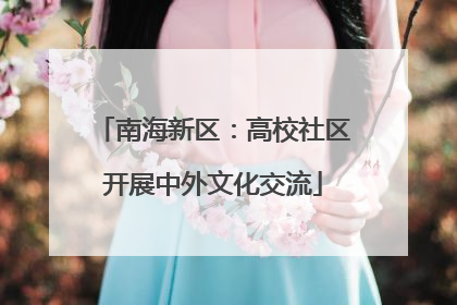 南海新区：高校社区开展中外文化交流